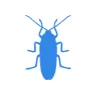 Уничтожение тараканов в Жуковке